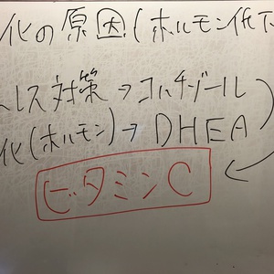 ホルモンが低下してしまう理由とは？　美容鍼　福山市　広島県